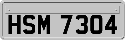 HSM7304