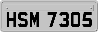 HSM7305