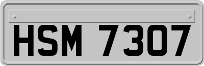 HSM7307
