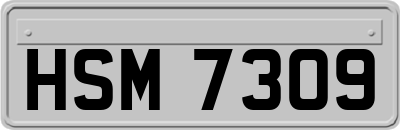 HSM7309