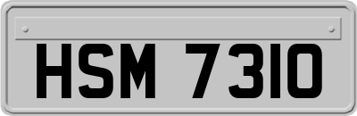 HSM7310