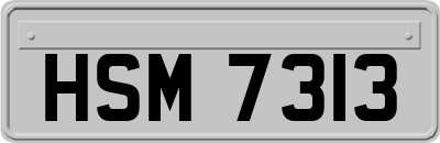 HSM7313