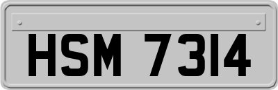 HSM7314