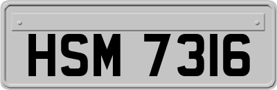 HSM7316