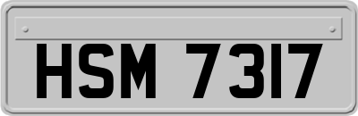 HSM7317