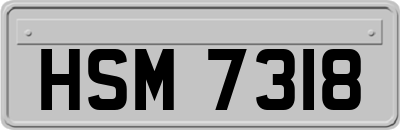 HSM7318