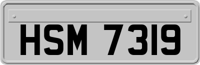 HSM7319