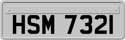 HSM7321