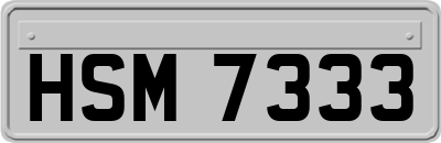 HSM7333