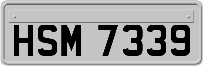 HSM7339