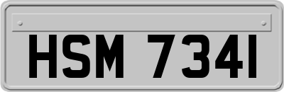 HSM7341