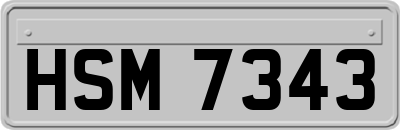 HSM7343