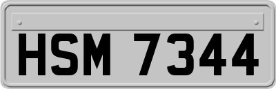 HSM7344