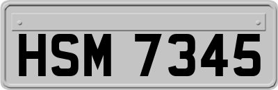 HSM7345
