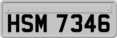 HSM7346