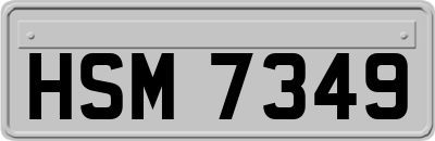 HSM7349