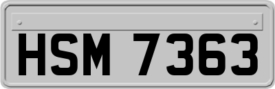 HSM7363
