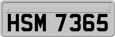 HSM7365