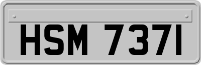 HSM7371