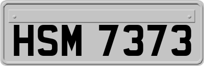 HSM7373