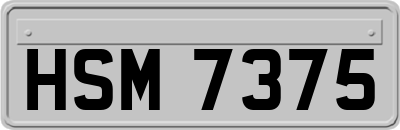 HSM7375