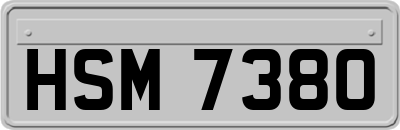 HSM7380