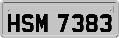 HSM7383