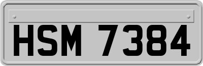 HSM7384