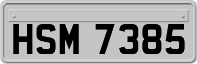 HSM7385