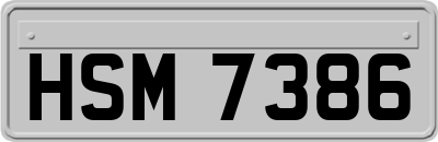 HSM7386