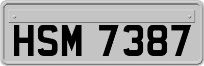 HSM7387
