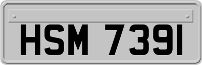 HSM7391