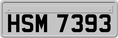 HSM7393
