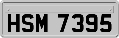 HSM7395