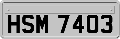 HSM7403