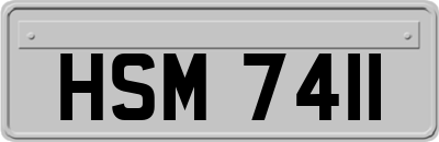 HSM7411