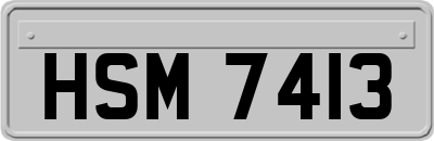 HSM7413
