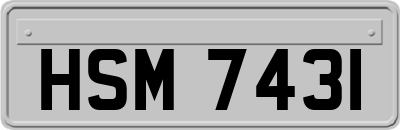 HSM7431