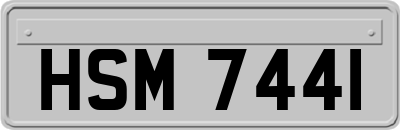 HSM7441