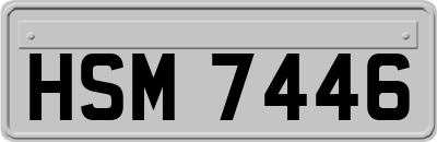HSM7446