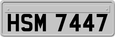 HSM7447
