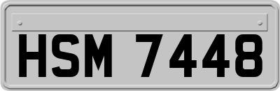 HSM7448