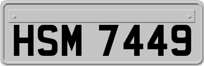 HSM7449