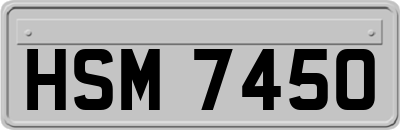 HSM7450
