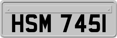 HSM7451