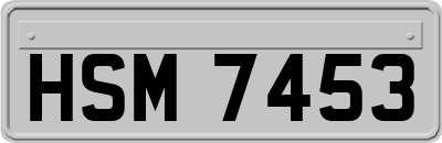 HSM7453