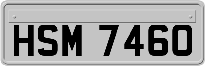 HSM7460