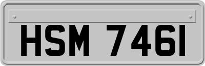 HSM7461