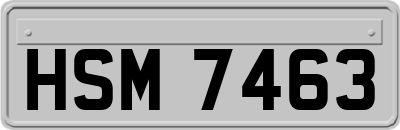 HSM7463
