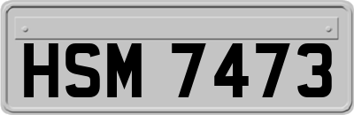 HSM7473